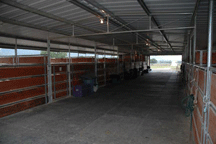 Boarding Stables - Photo 1